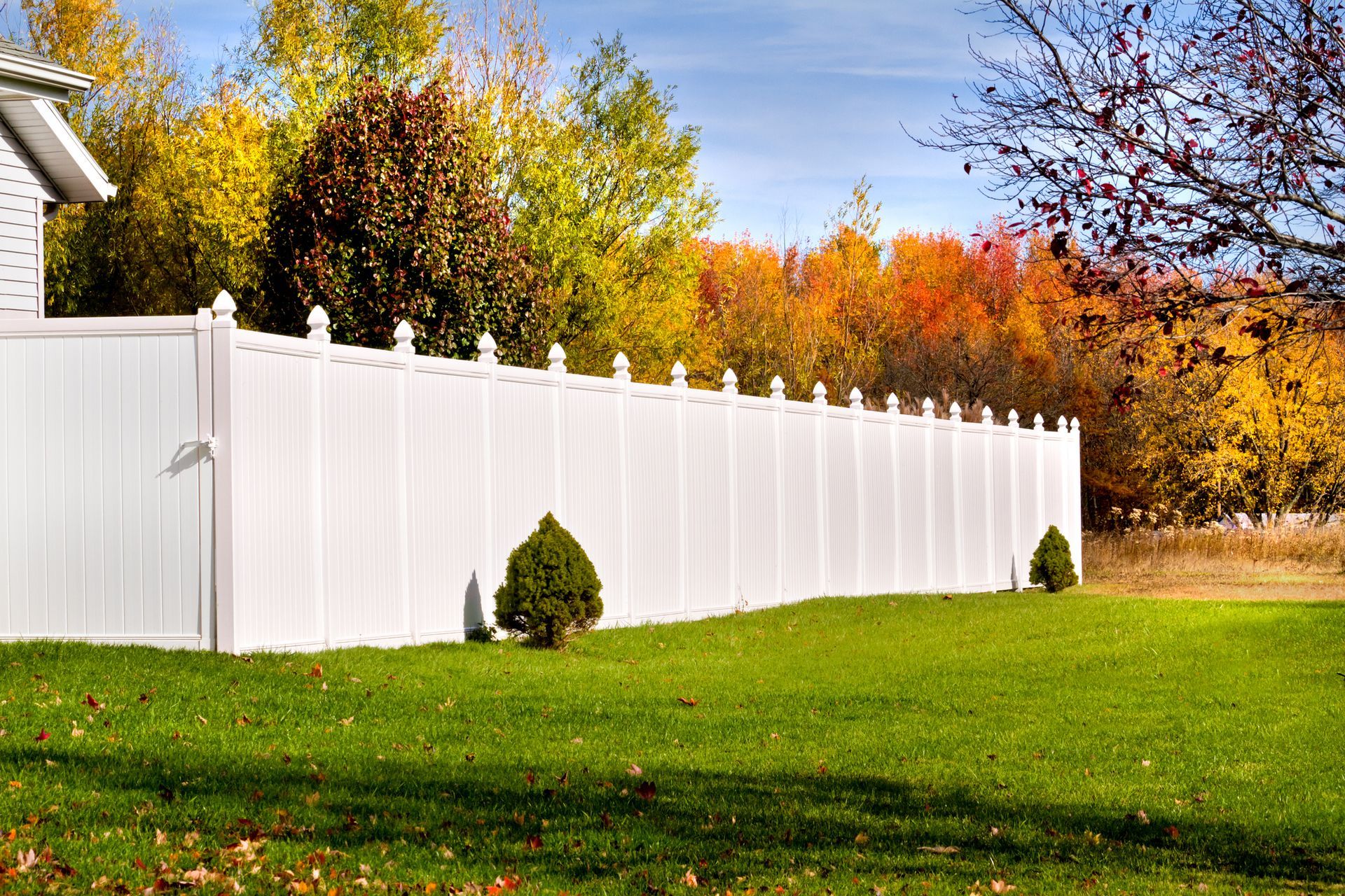 A white fence surrounds a lush green field with trees in the background.