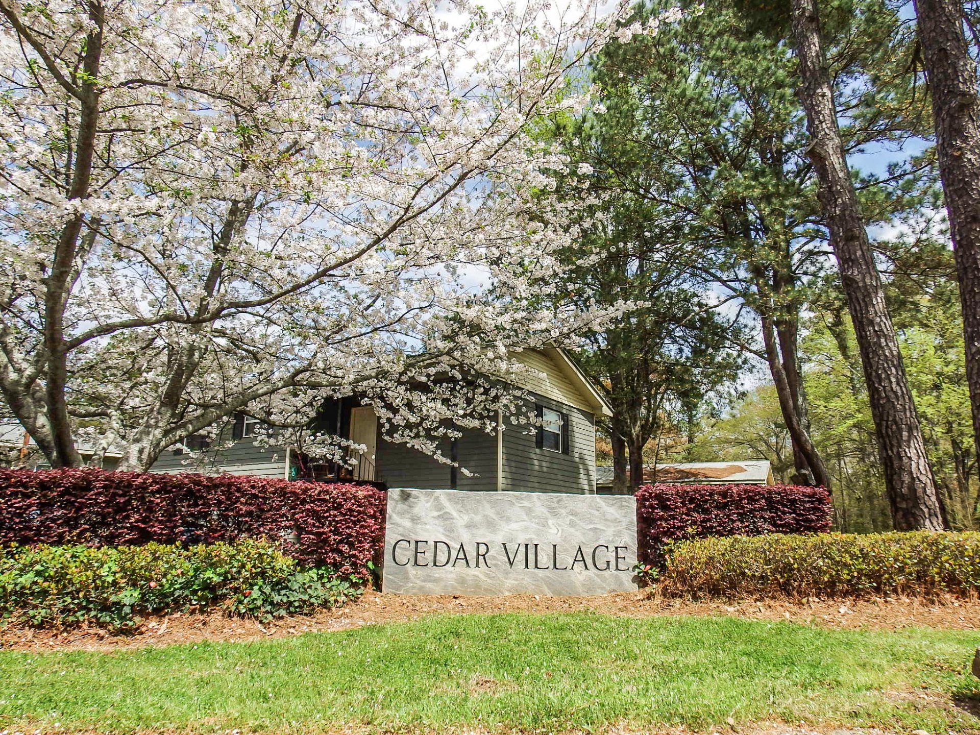 Cedar Village Apartment Rental in Athens, GA Lane Properties
