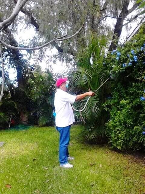  FUMIGACIONES FUMEX