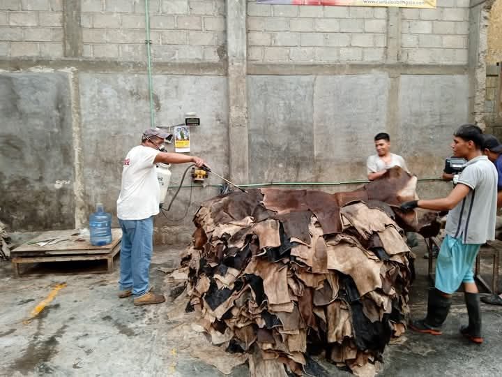  FUMIGACIONES FUMEX