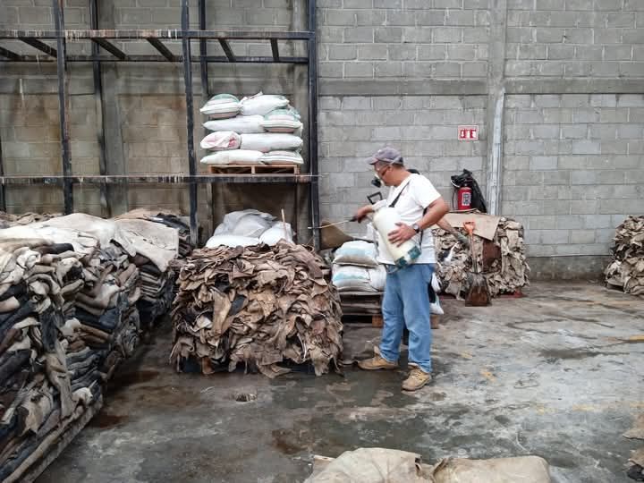  FUMIGACIONES FUMEX