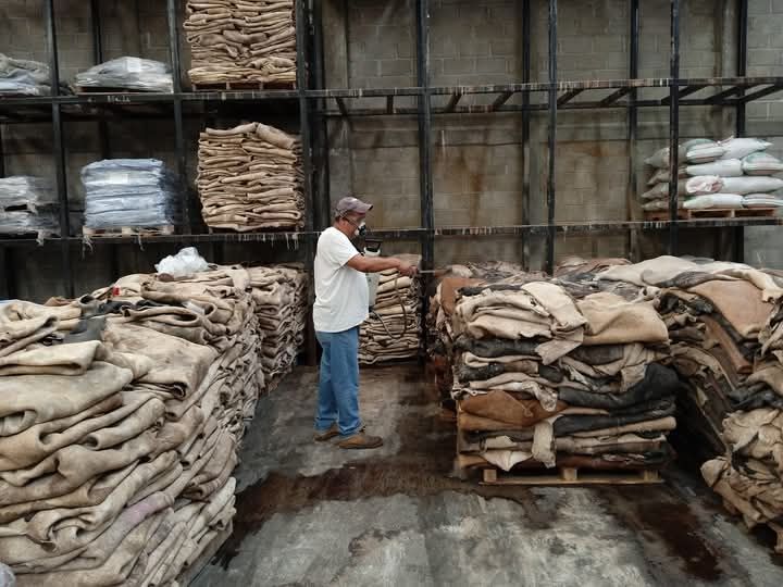  FUMIGACIONES FUMEX