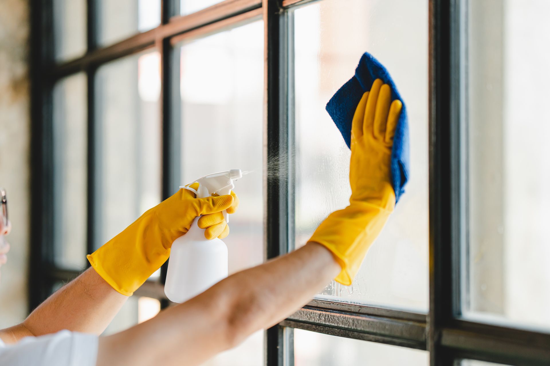 Window Cleaning