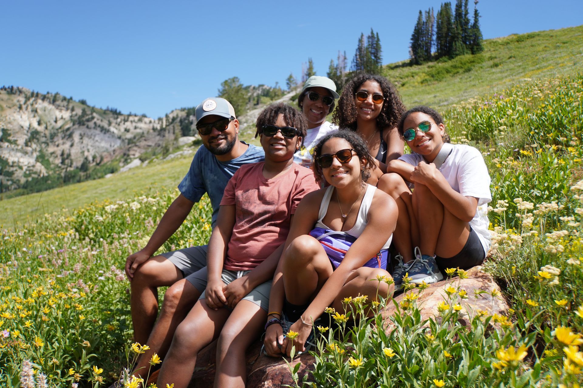 beau mitcham and his family are sitting on a rock in a field of flowers.