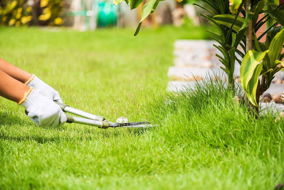 Lawn Care Services in Liberty, IL