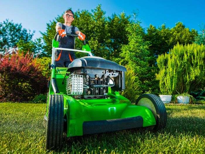 Professional Lawn Care in Liberty, IL
