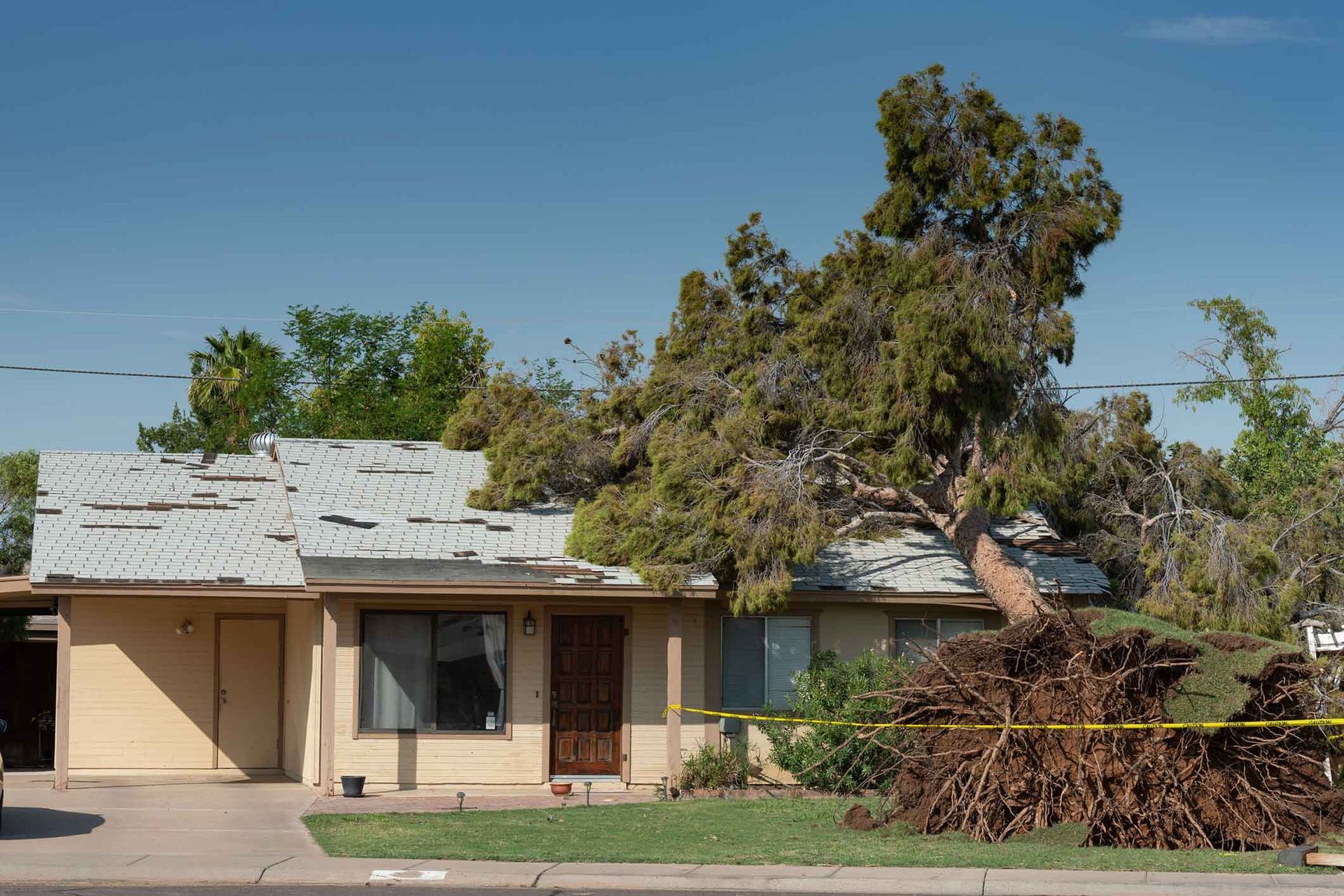 A house with a fallen tree in front of it