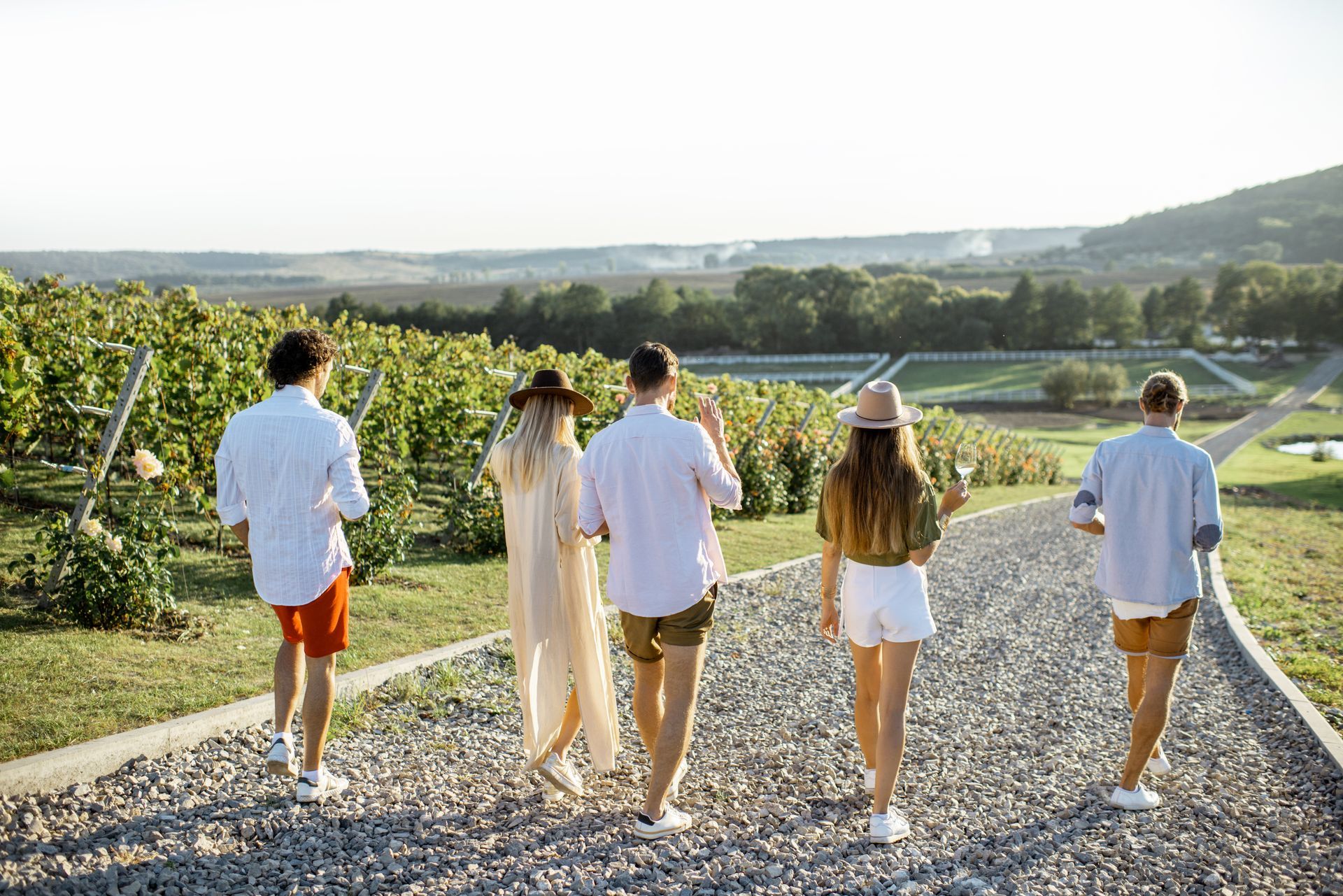 A group of people are walking down a gravel road in a vineyard.