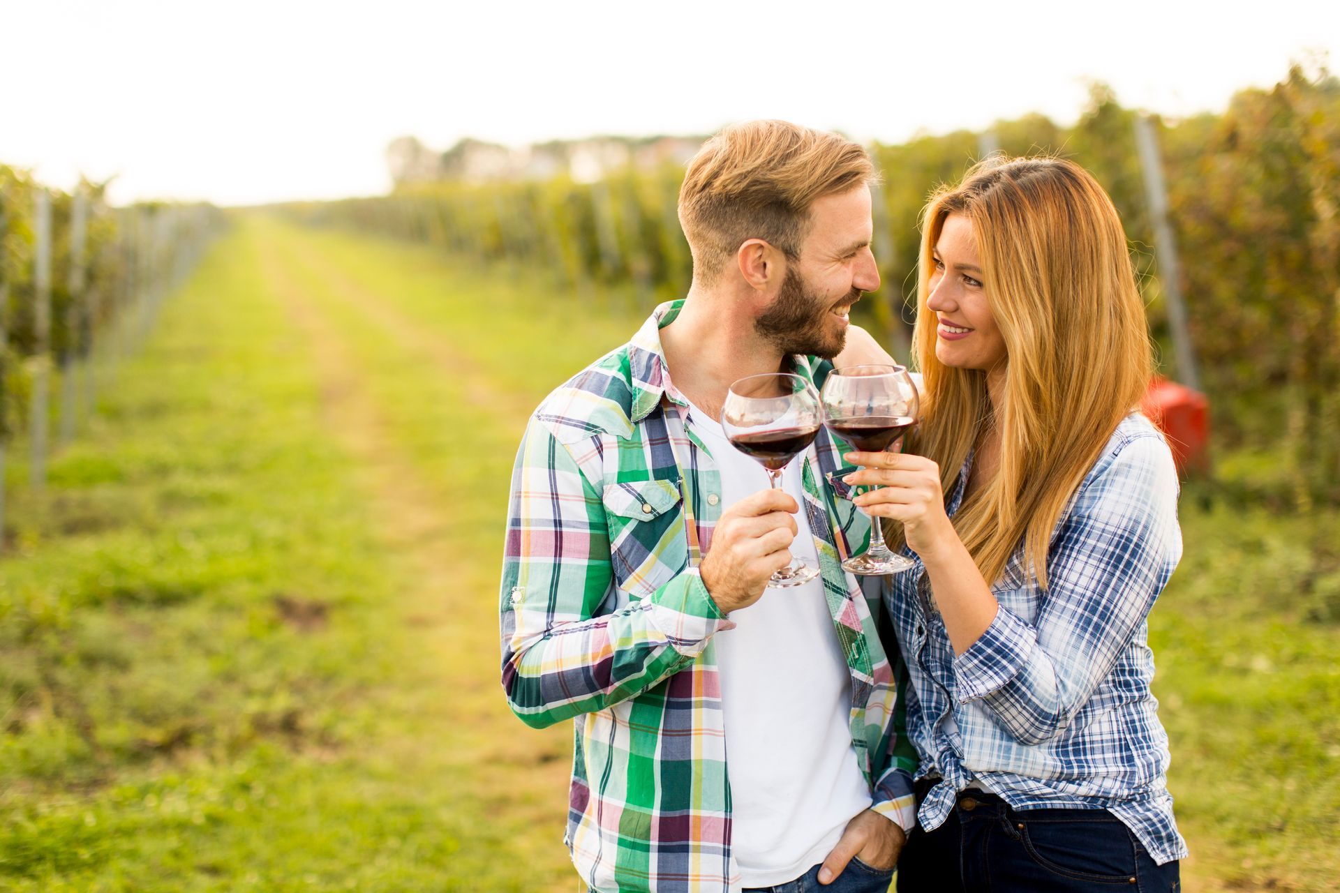 A man and a woman are toasting with wine glasses in a vineyard.