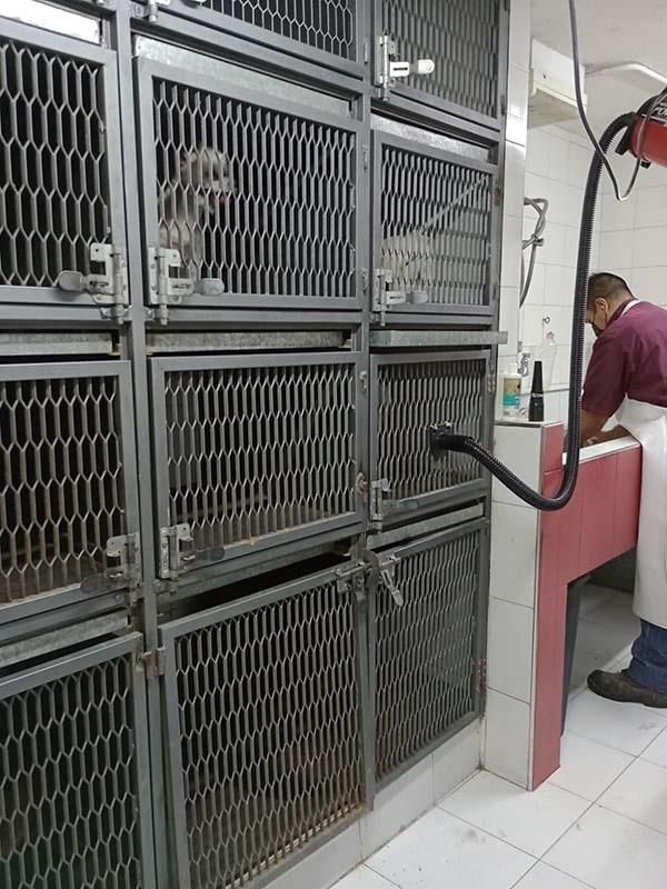 CENTRO VETERINARIO PARQUE SAN ANDRÉS