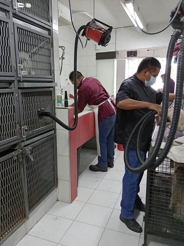 CENTRO VETERINARIO PARQUE SAN ANDRÉS