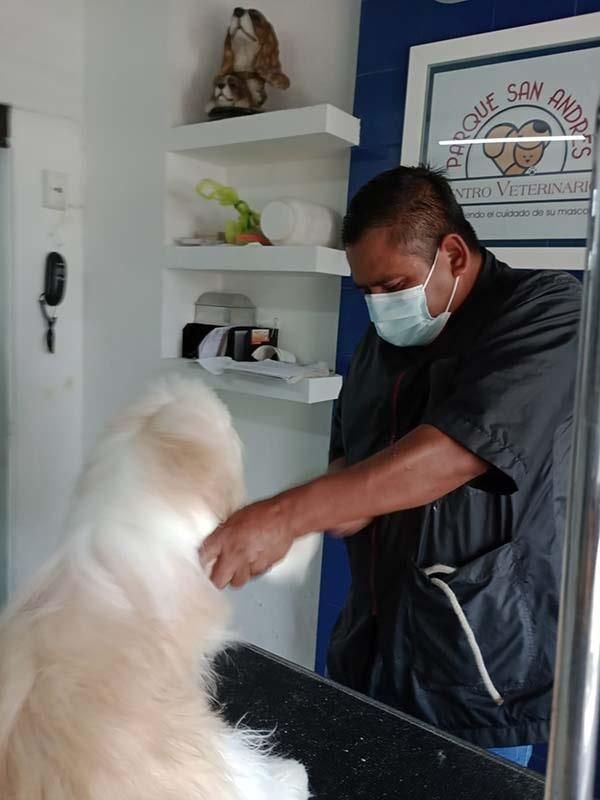 CENTRO VETERINARIO PARQUE SAN ANDRÉS