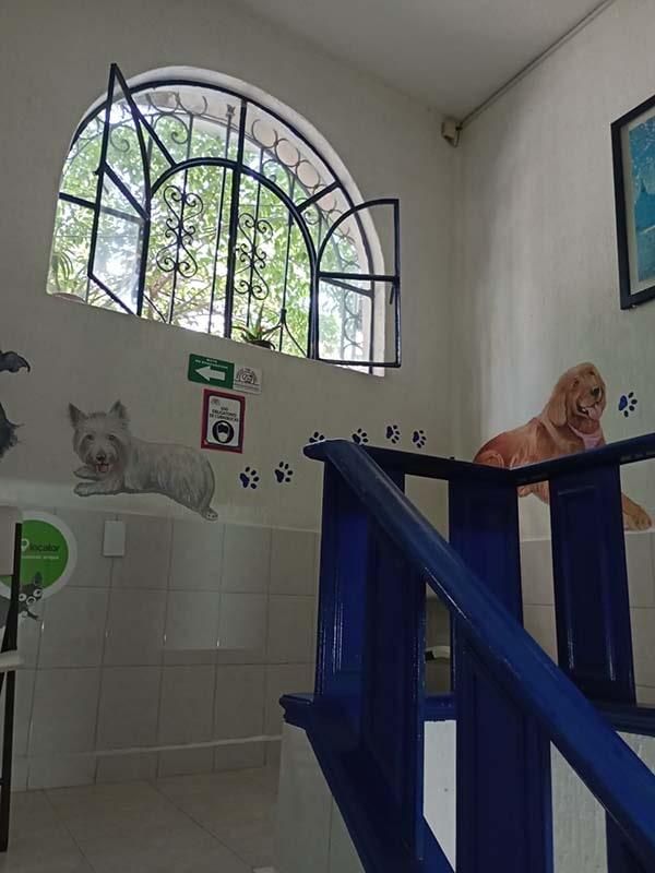 CENTRO VETERINARIO PARQUE SAN ANDRÉS