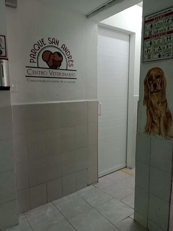 CENTRO VETERINARIO PARQUE SAN ANDRÉS