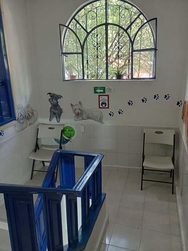 CENTRO VETERINARIO PARQUE SAN ANDRÉS