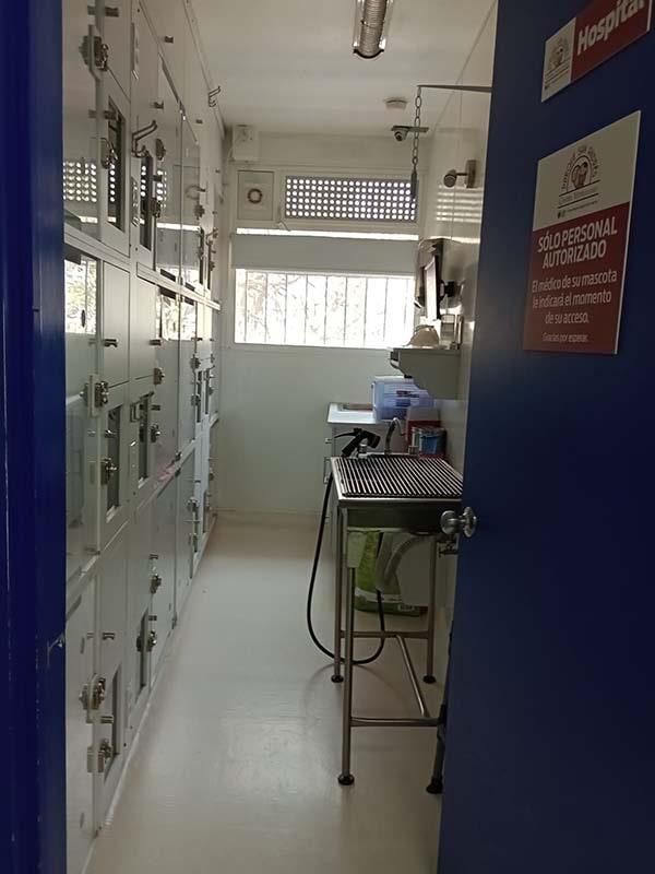 CENTRO VETERINARIO PARQUE SAN ANDRÉS