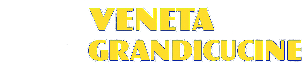 Logo giallo con la scritta &ldquo;VENETA GRANDICUCINE&rdquo; su sfondo bianco.
