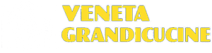 Logo giallo con la scritta “VENETA GRANDICUCINE” su sfondo bianco.