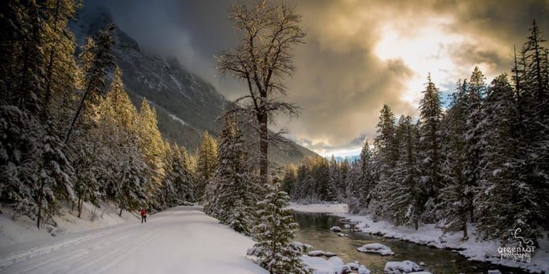 A snowy landscape with a river and trees. A person skis on a snow-covered path between trees. The sky is cloudy with sunlight.