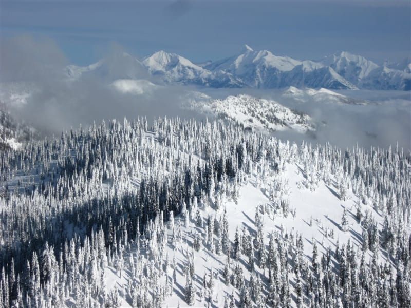 Snow-covered evergreen trees blanket a mountain ridge. Distant snow-capped peaks rise above the cloud line under a clear blue sky.