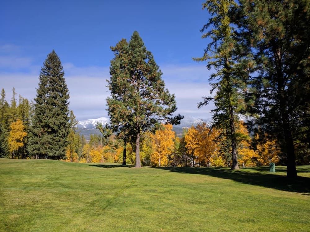 A grassy park with tall trees, including some with golden fall foliage, under a blue sky. Snow-capped mountains are visible in the distance.