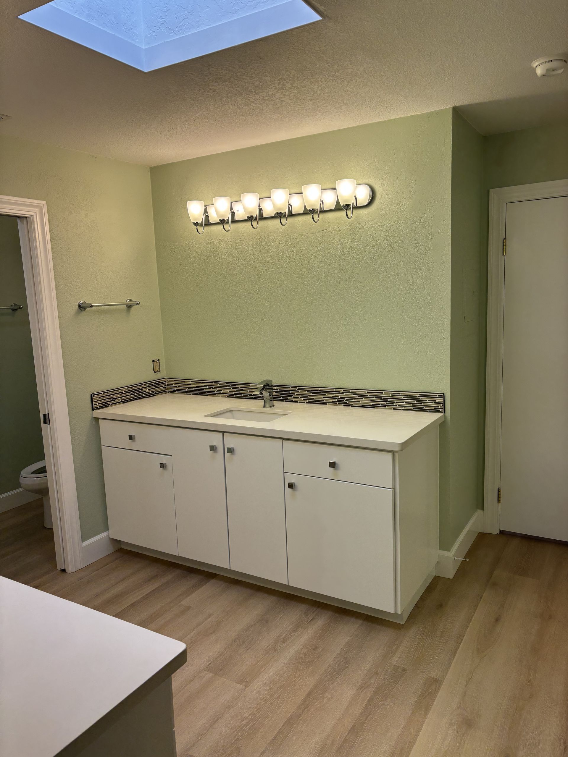 Empty bathroom with green walls, white vanity, wall light, and skylight ceiling.