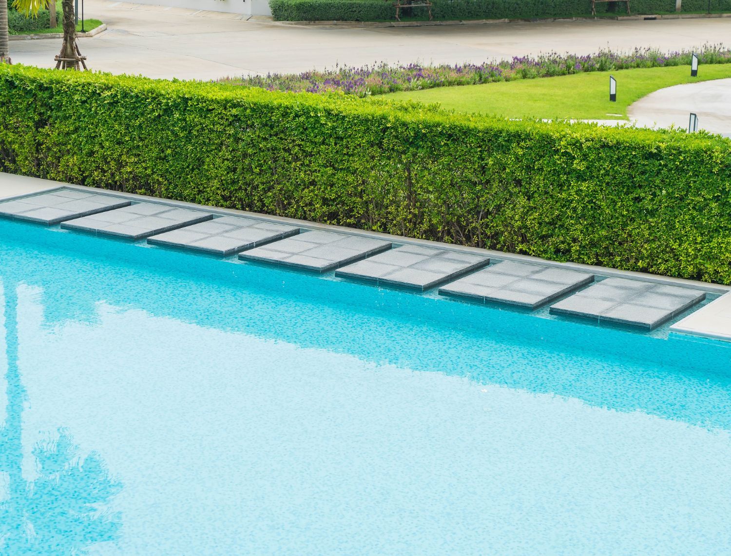 A large swimming pool surrounded by a lush green hedge.