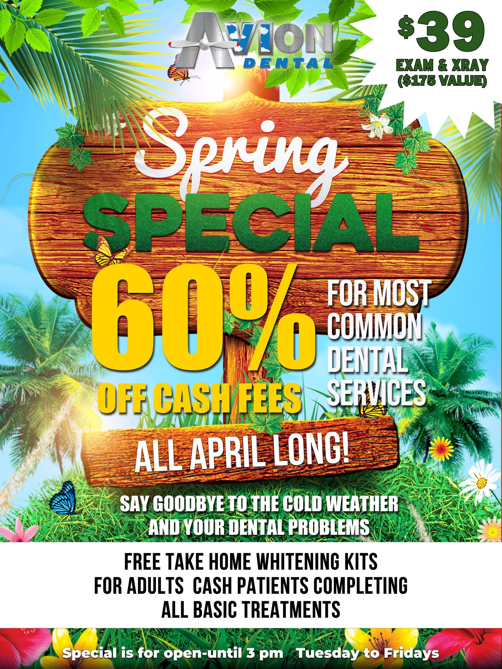 Spring Special at Avion Dental
