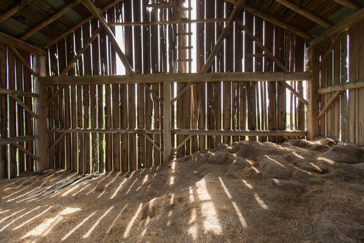 Barn cleanout