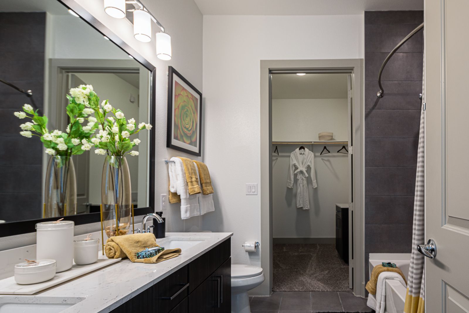 Modern bathroom with vanity, mirror, walk-in closet, and bathtub.