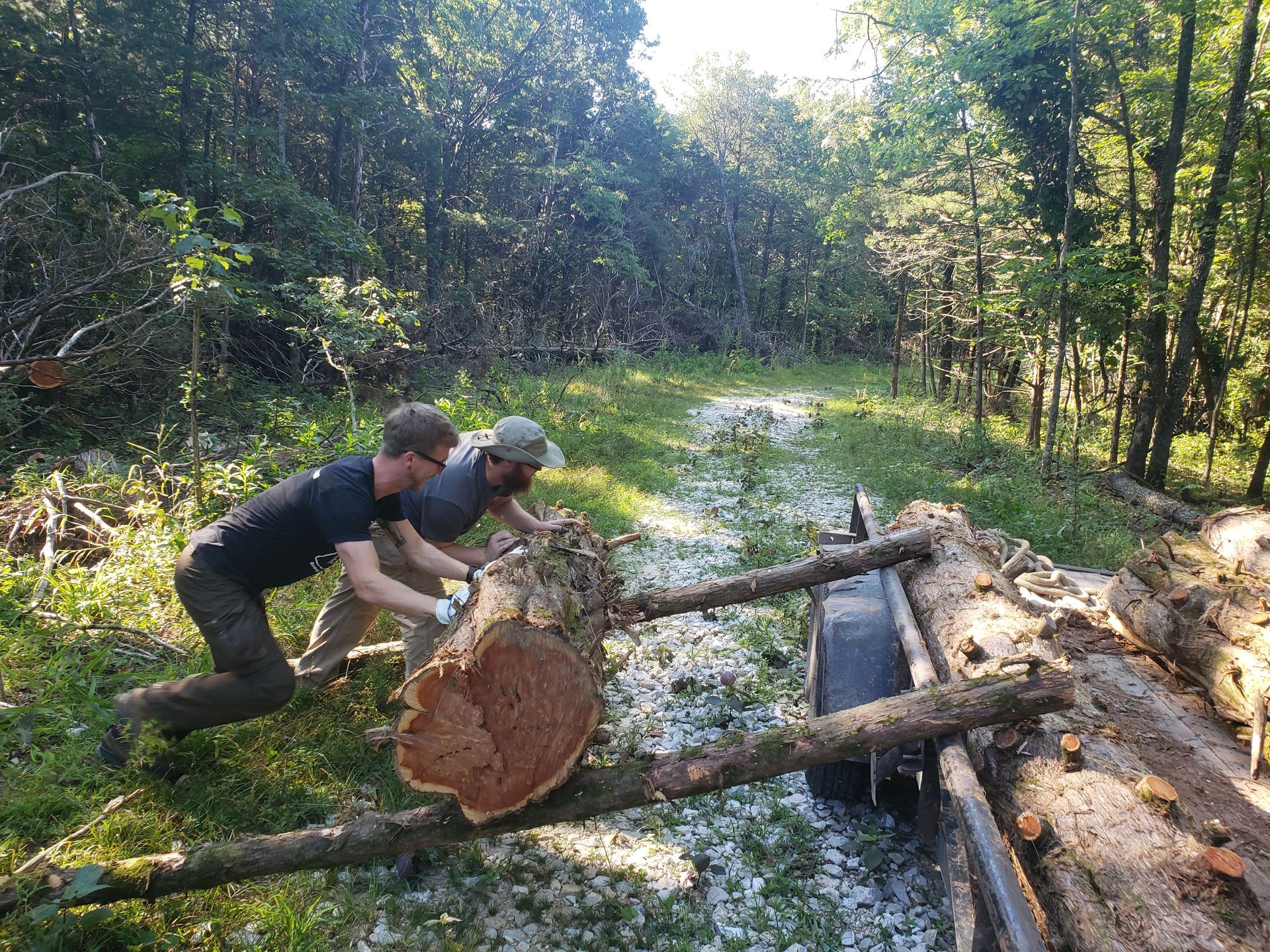 men rolling large cedar log into trailer
