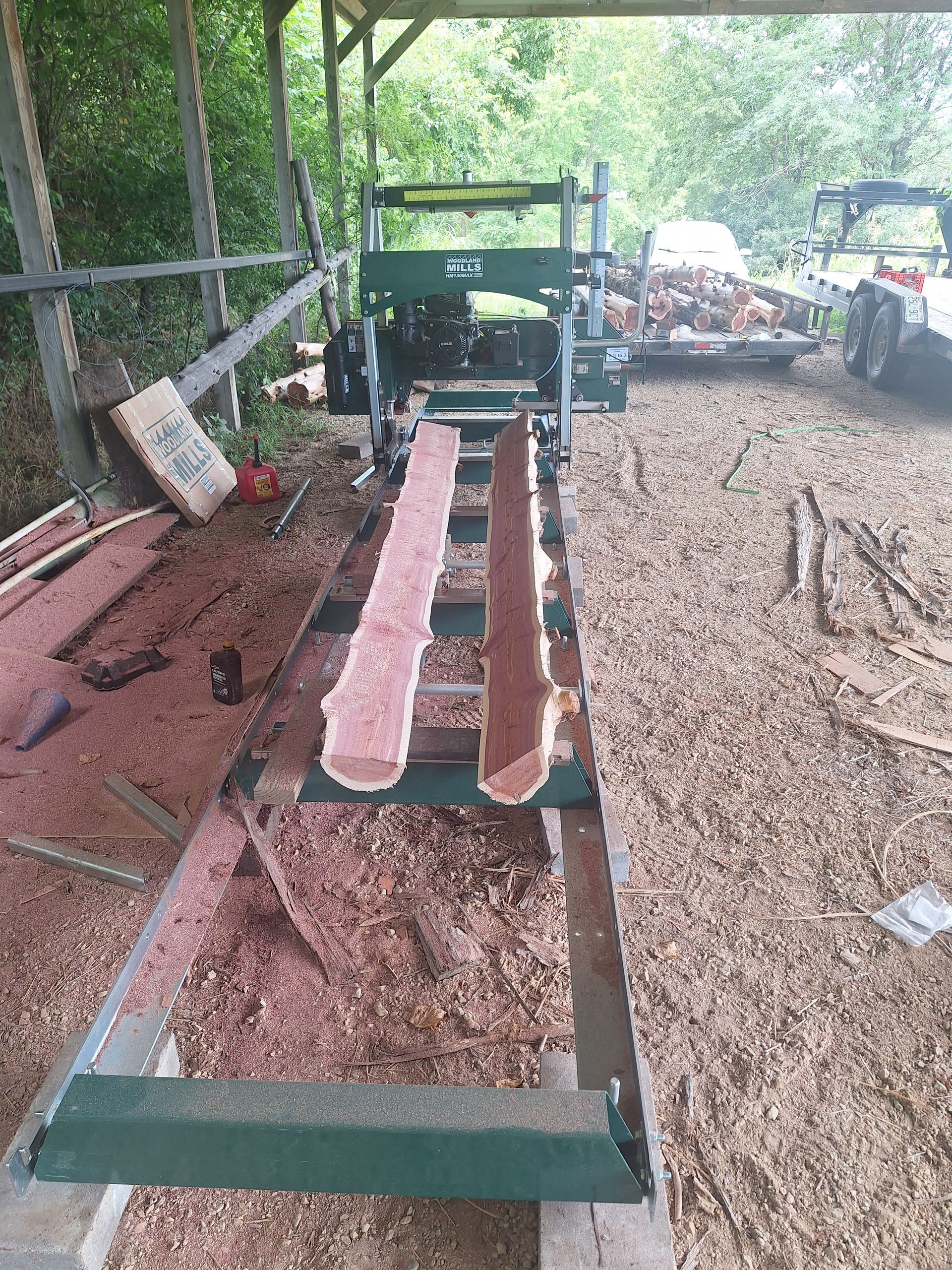 cedar in the mill
