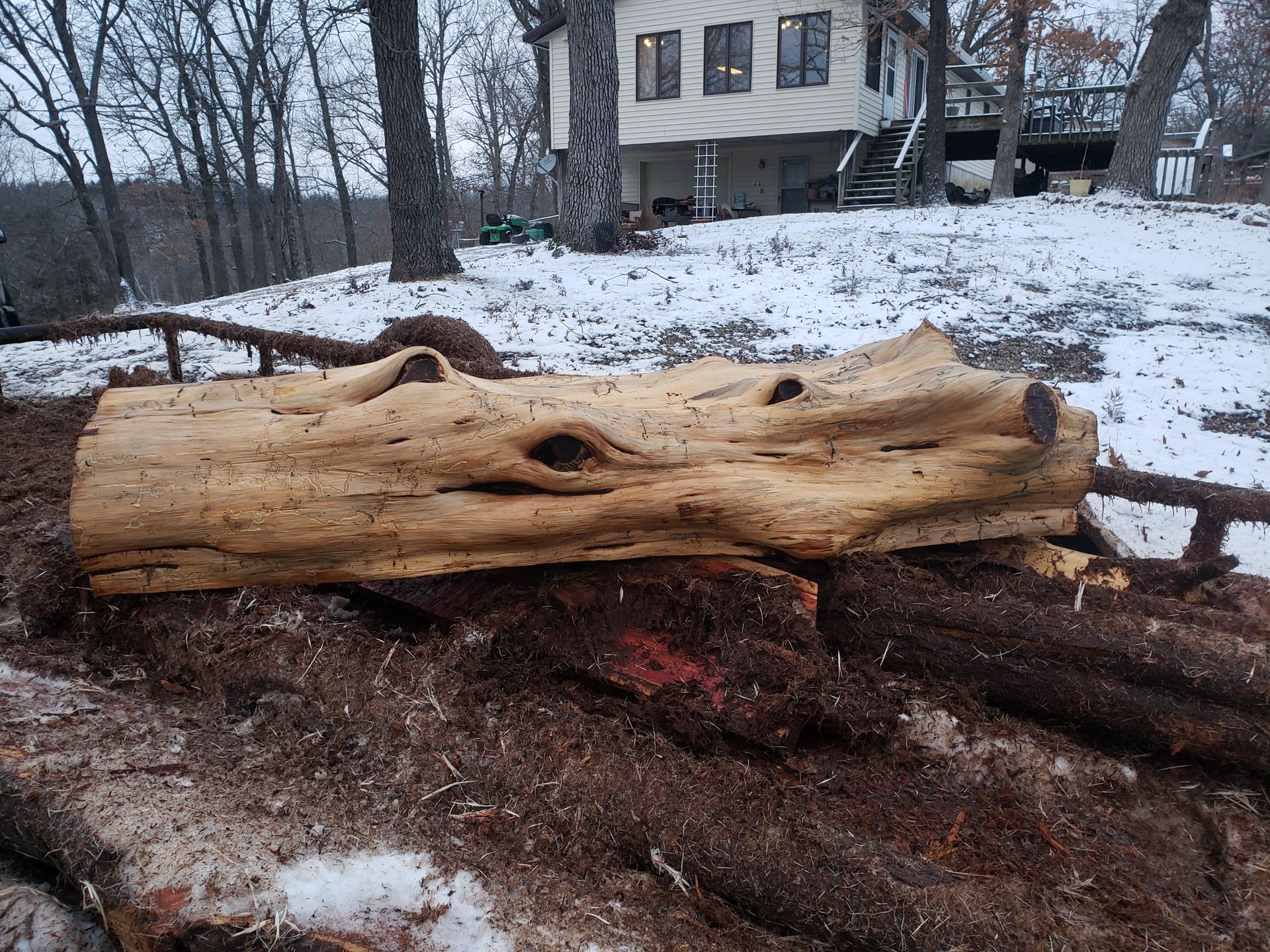 large cedar log
