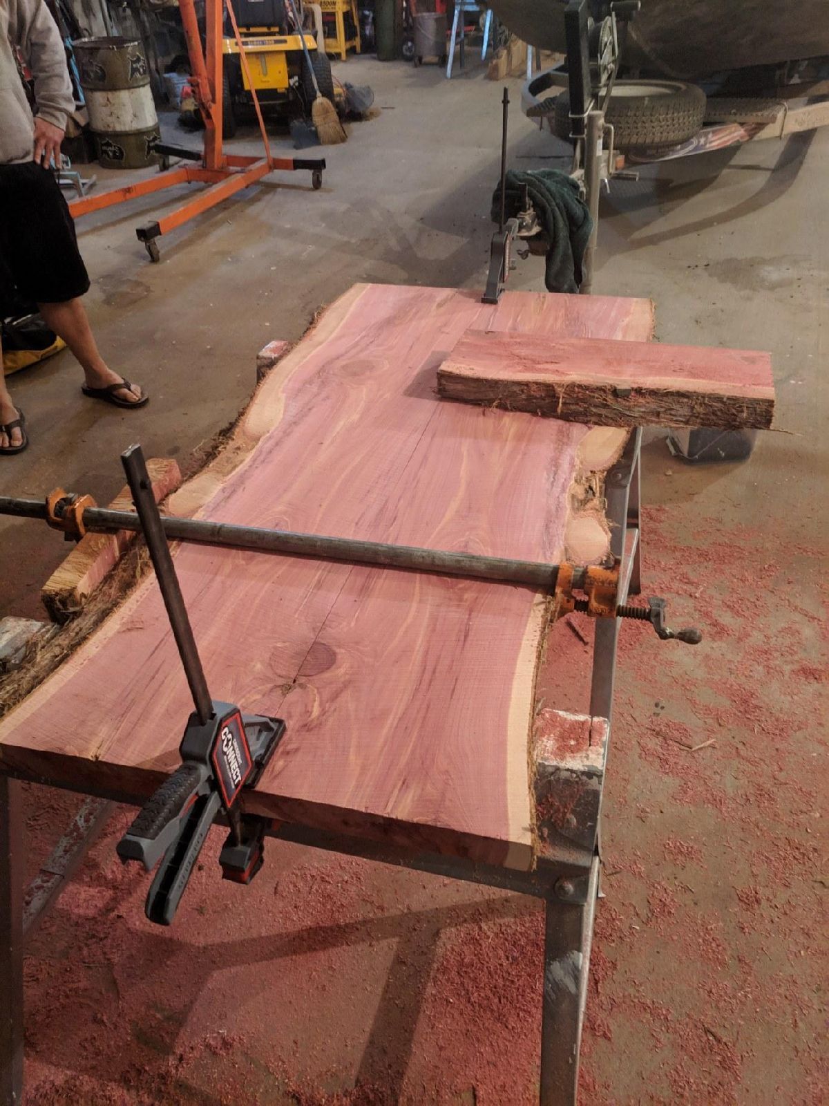 cedar slab being glued up