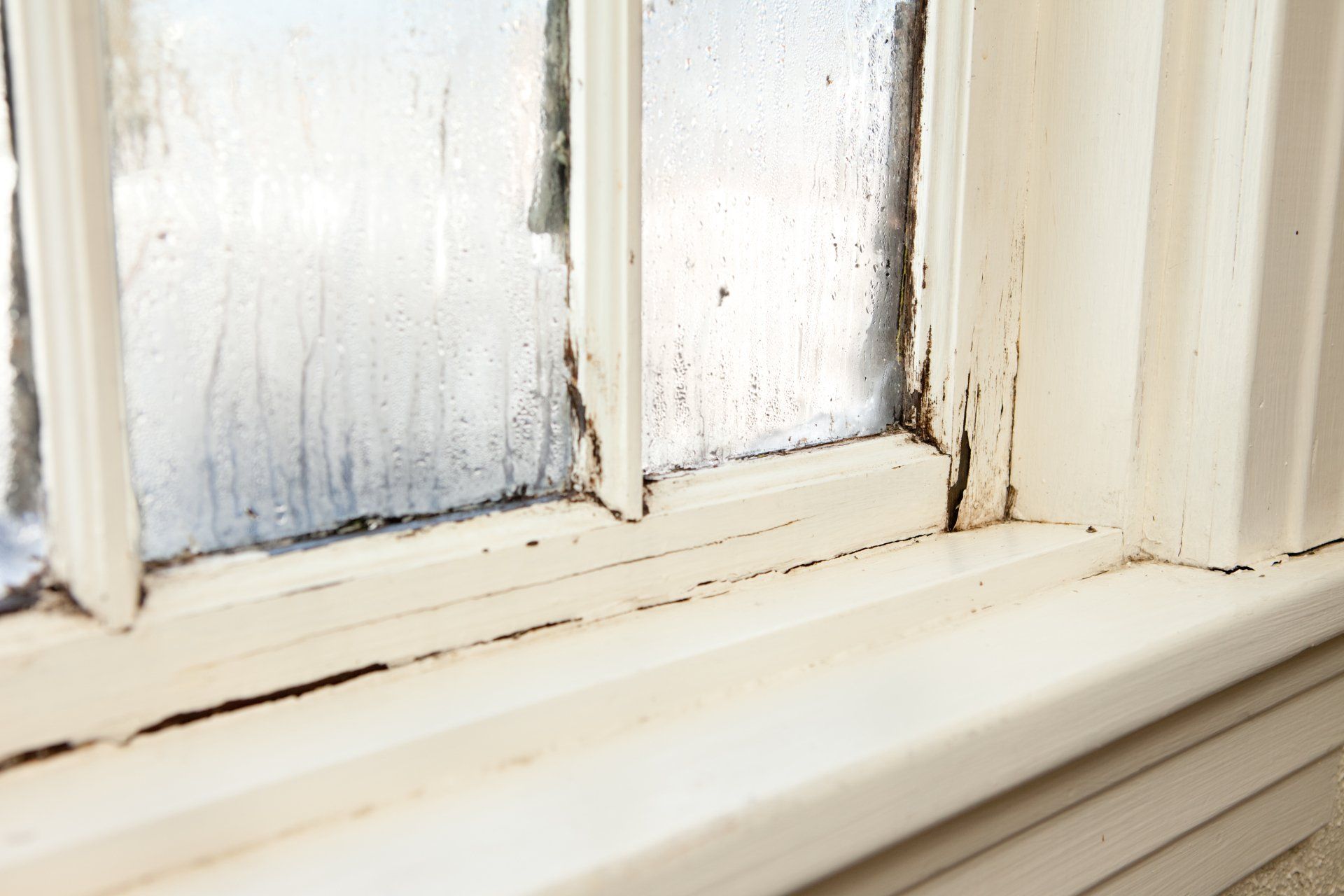 Molds in windows
