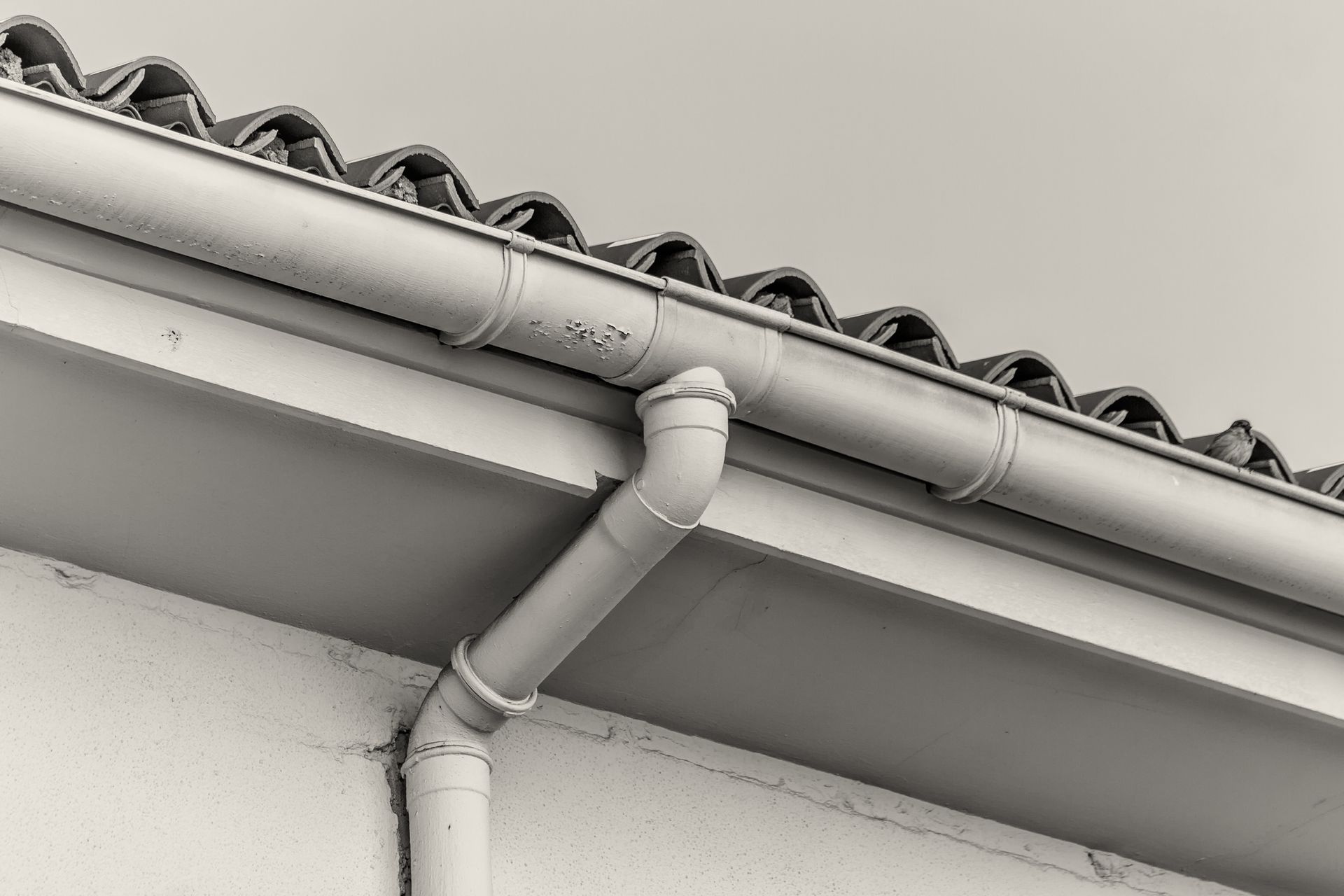 Gutter of a House Gutter of a House
