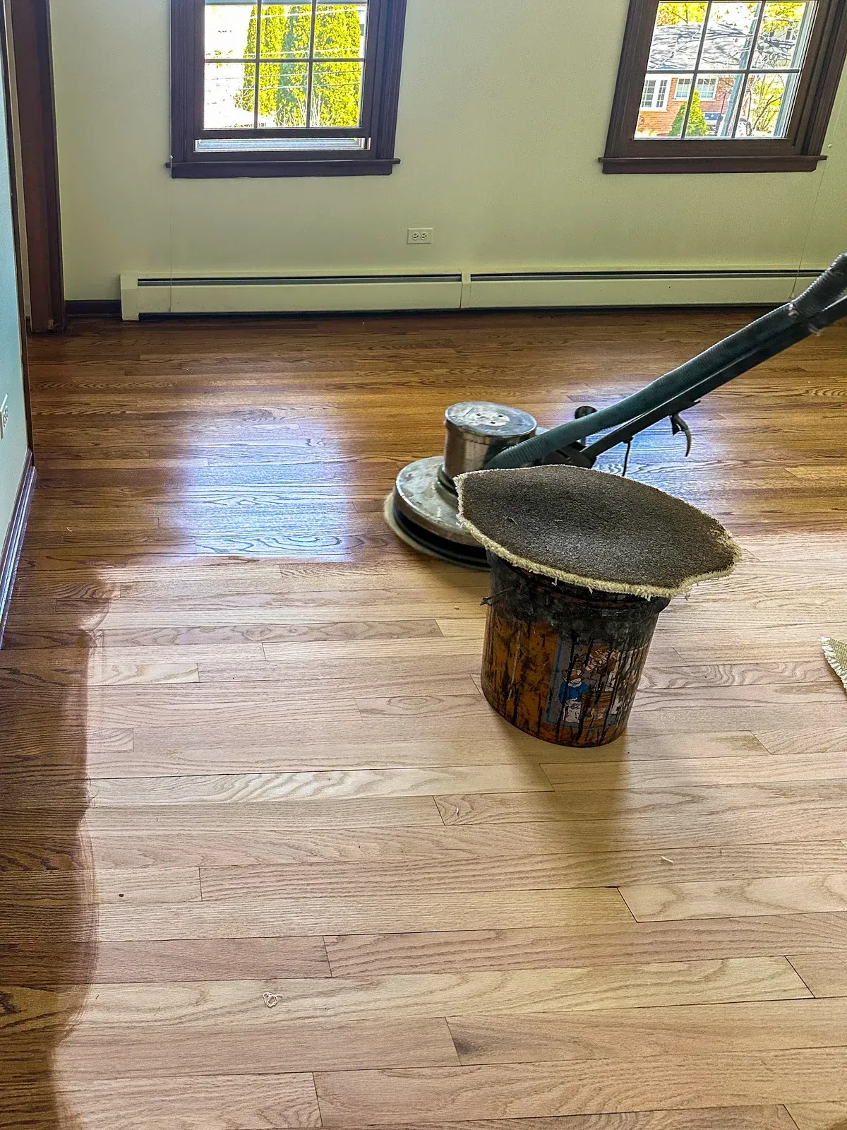 Floor sander refinishing a wood floor in a room with two windows.