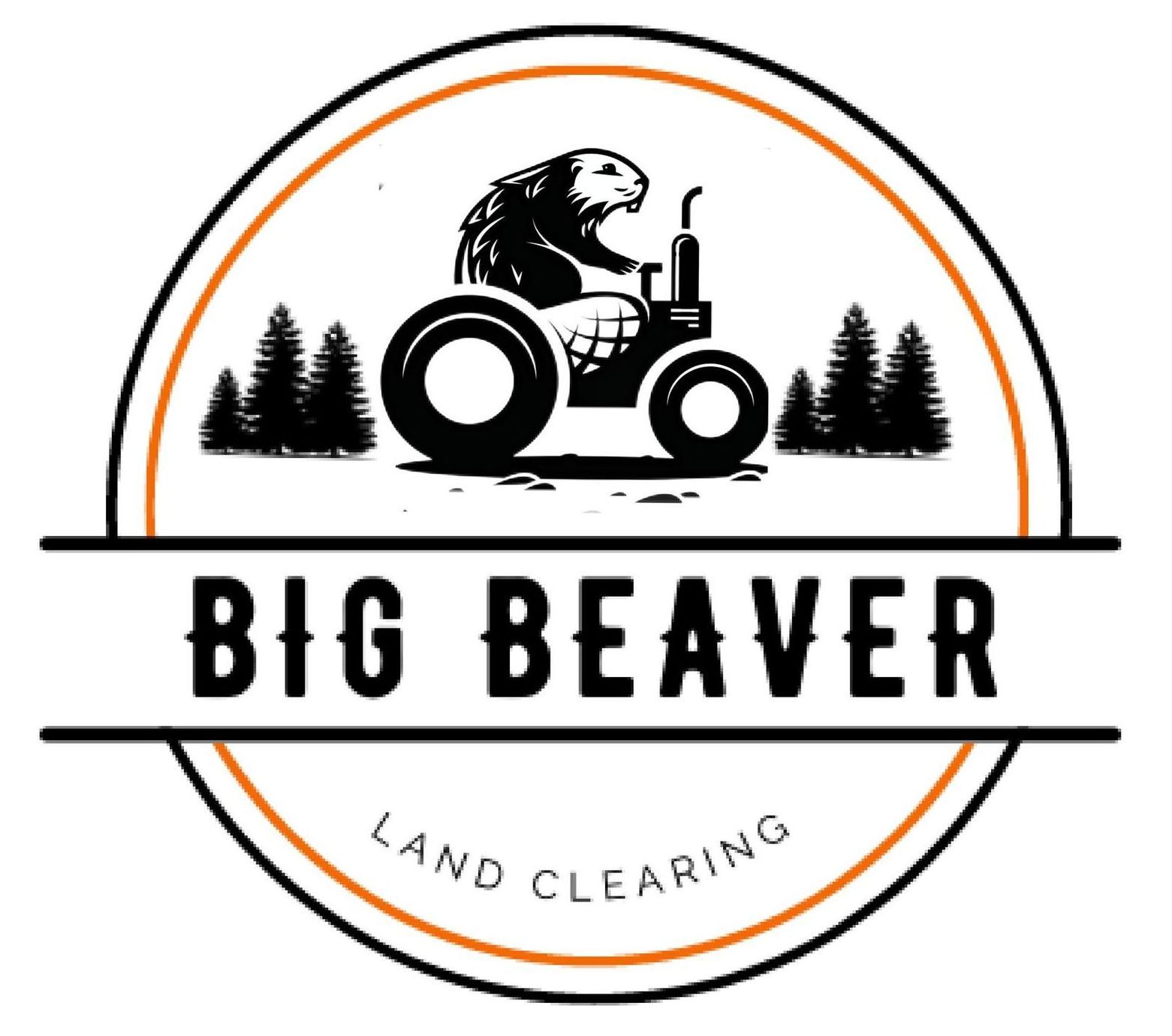 Tree Service in Lee Summit, MO | Big Beaver Tree Services Tree Service in Lee Summit, MO | Big Beaver Tree Services