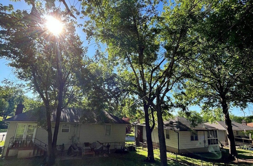Tree Services in Lee Summit, MO Tree Services in Lee Summit, MO