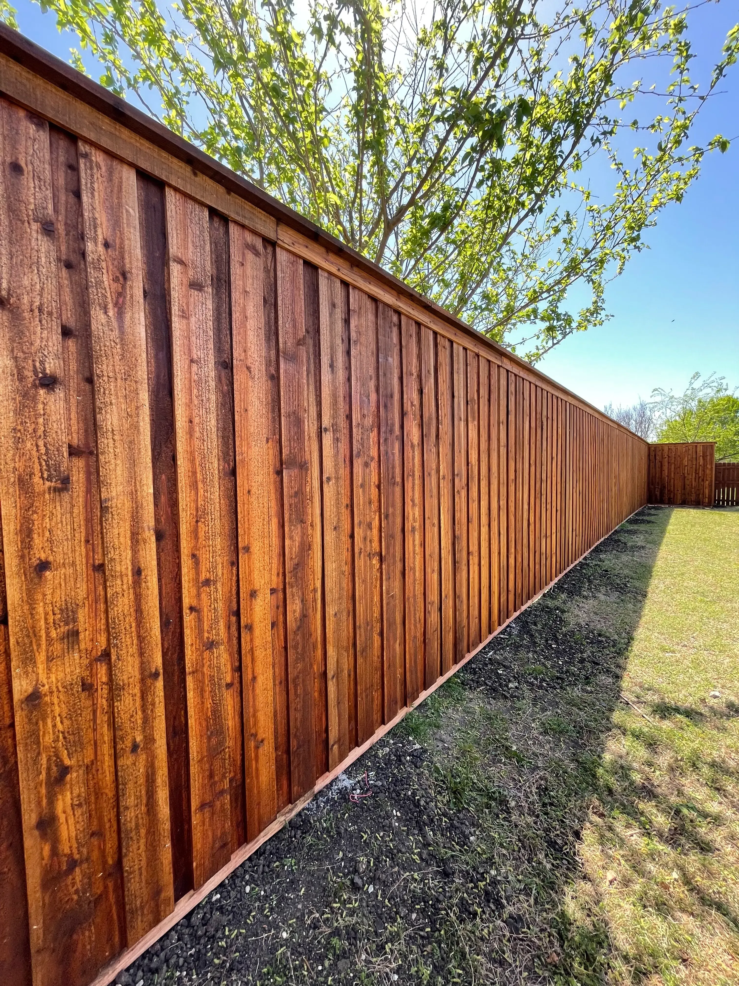 Fence Cleaning and Staining