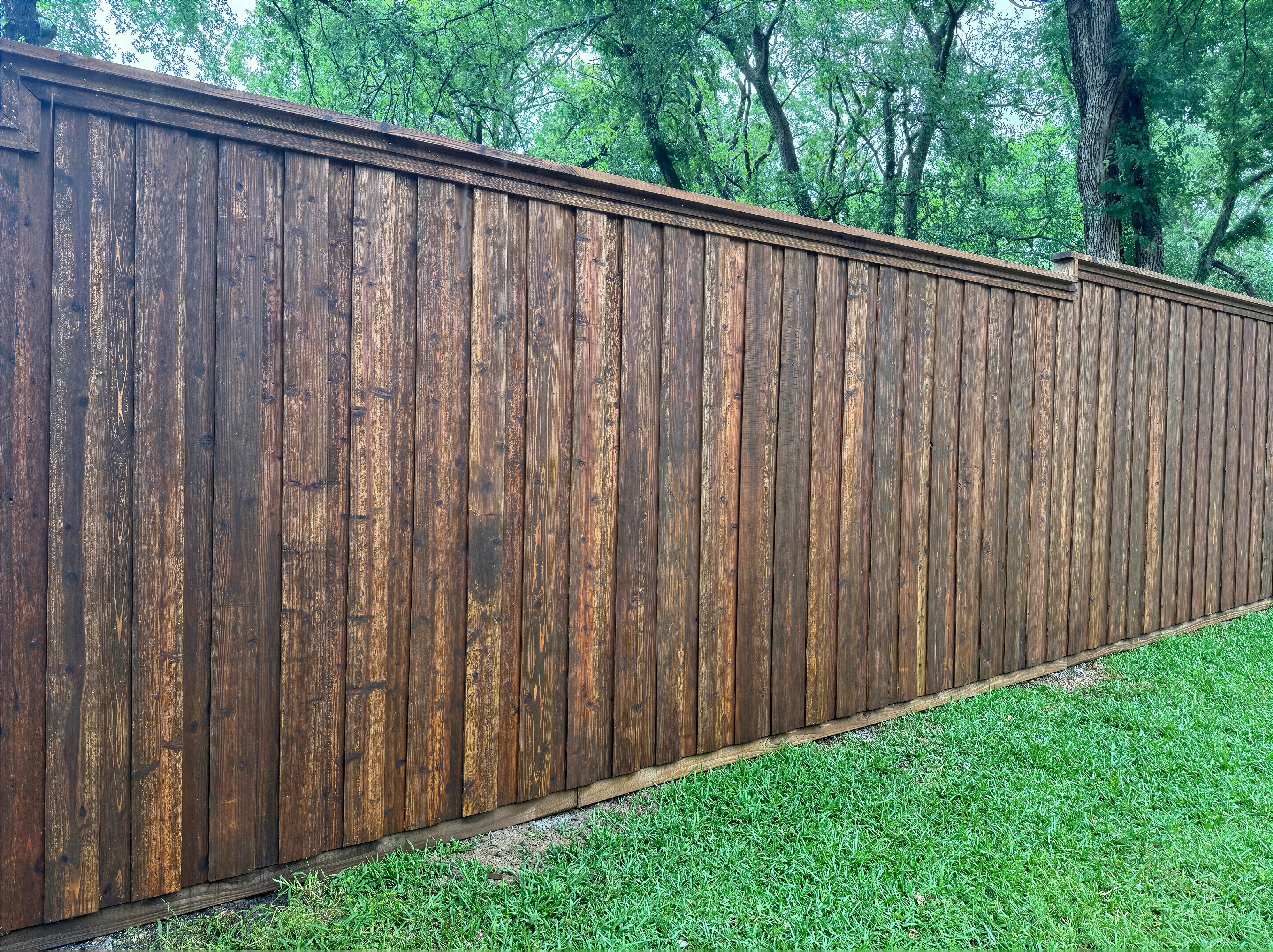 Cedar and Wood Privacy Fencing
