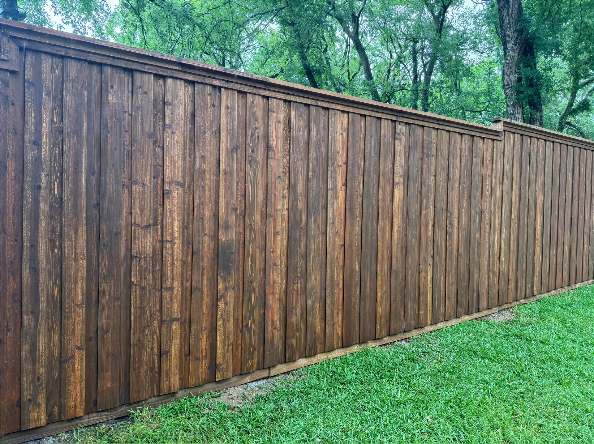 Cedar and Wood Privacy Fencing
