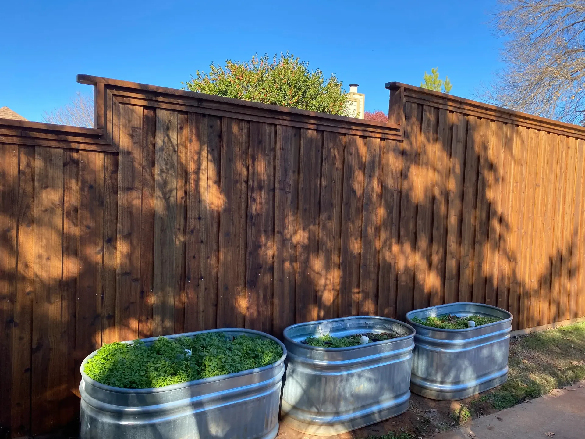 Custom Fencing