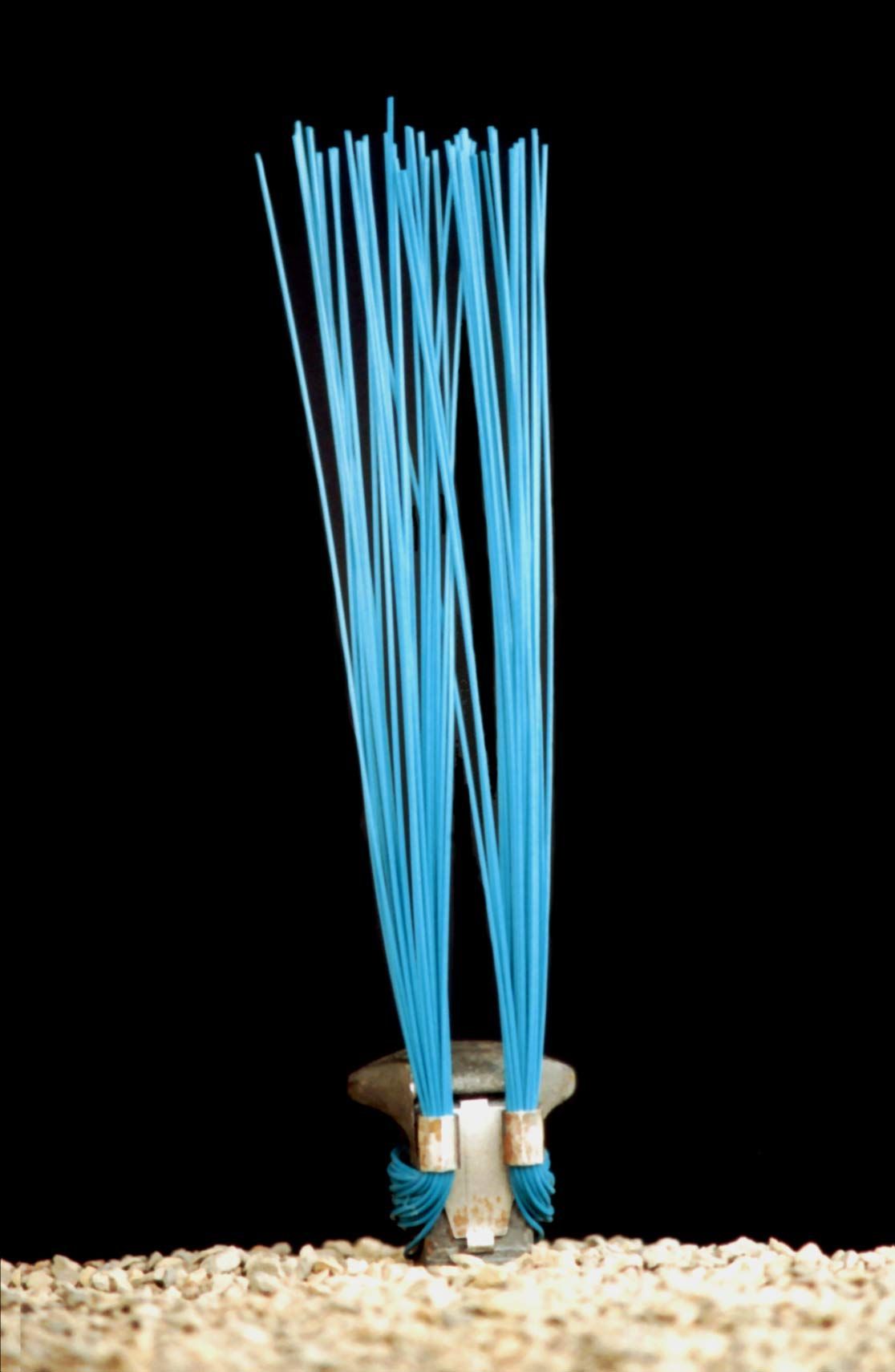 Whiskers for Railroad Spikes