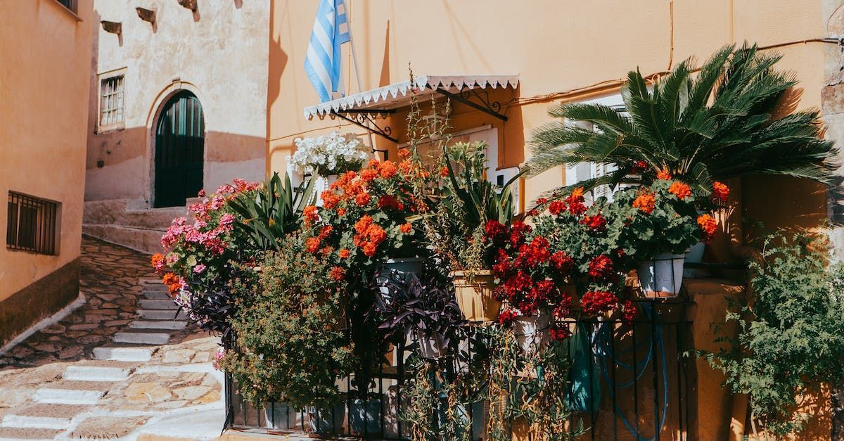 Exploring the Gardens of Corfu | Article