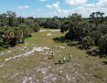 Aerial view of four people in bright vests standing in a grassy wetland clearing surrounded by trees.