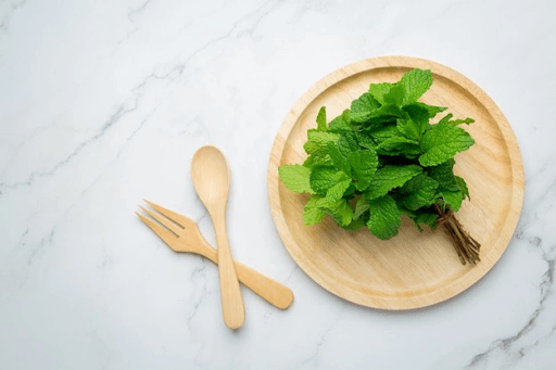 cara membasmi kutu busuk dengan daun mint