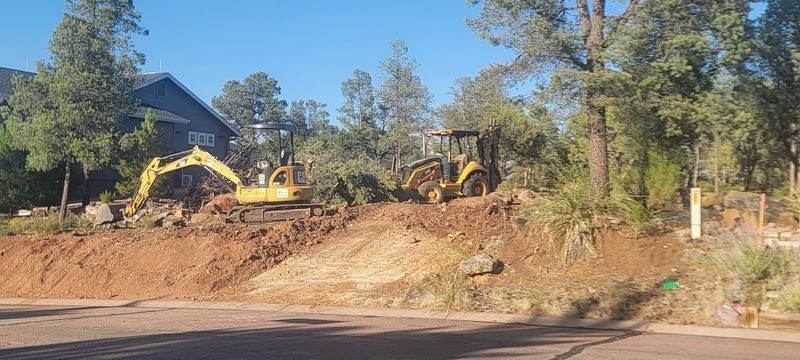 Yellow excavators on a dirt slope beside a road in a wooded area under a clear blue sky