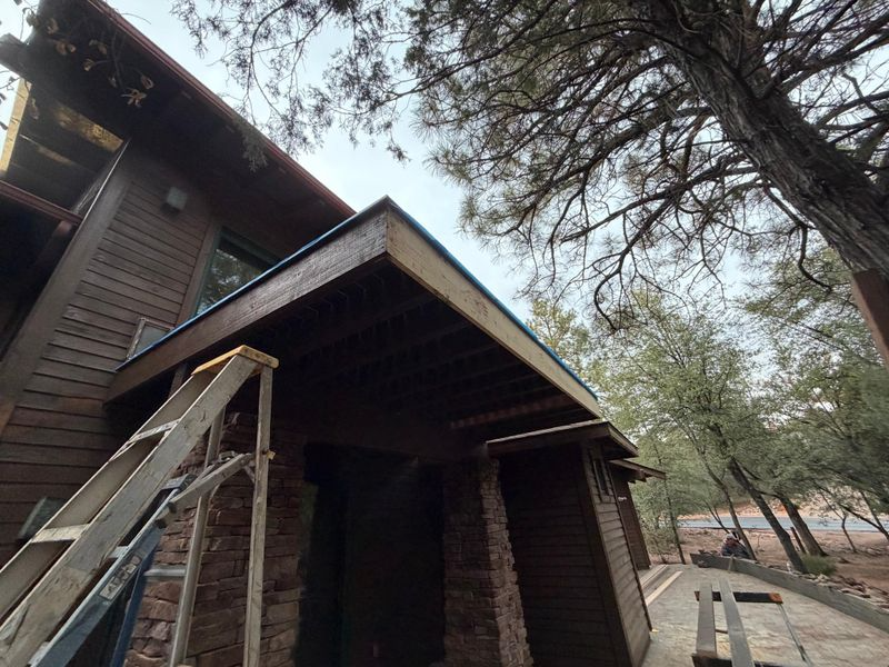 Old wooden house with a slanted roof and ladder, viewed from below among tall trees.