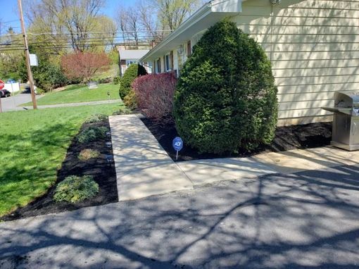 Orange skid-steer loading cut branches into a bucket beside a suburban driveway and lawn.